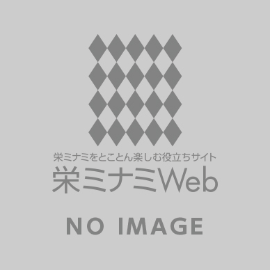 栄ミナミWeb