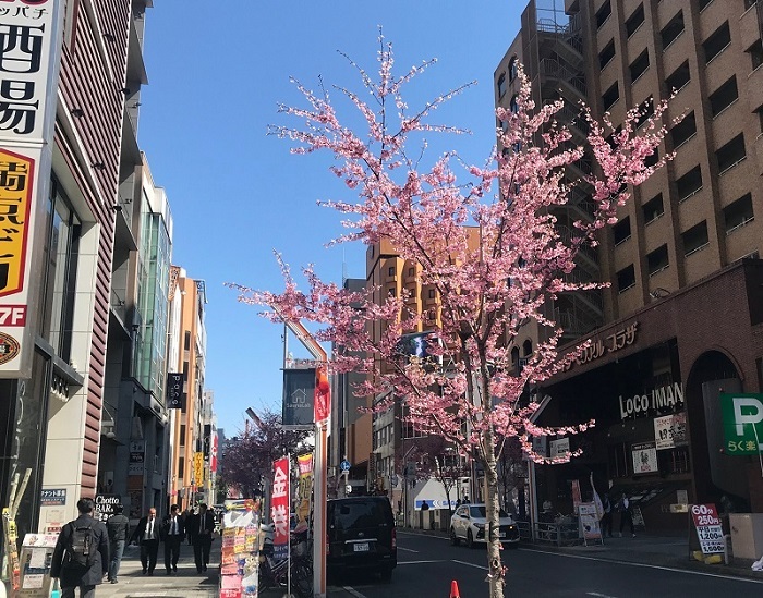 少年探偵団のわくわくお子様プレート