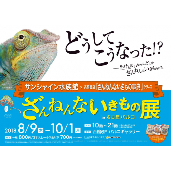 少年探偵団のわくわくお子様プレート