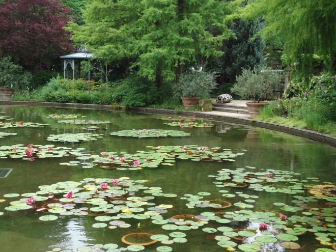 少年探偵団のわくわくお子様プレート